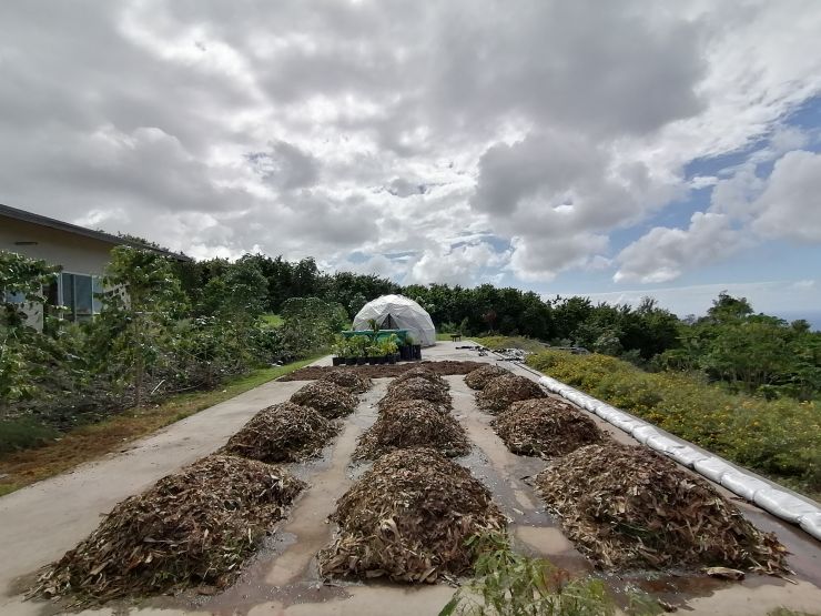 Composting Trials, including different piles of test material, and a control